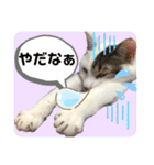 メイちゃんとずっと一緒スタンプ♡（個別スタンプ：15）