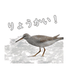 水鳥スタンプですねぇ。（個別スタンプ：6）