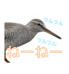 水鳥スタンプですねぇ。（個別スタンプ：30）