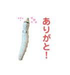 カイコのいもむしスタンプ（個別スタンプ：8）