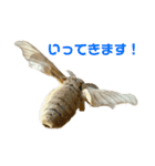 カイコのいもむしスタンプ（個別スタンプ：15）