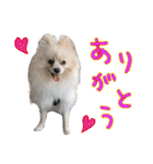 しいこたむつ第3弾（個別スタンプ：3）