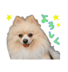 しいこたむつ第3弾（個別スタンプ：4）