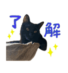 しいこたむつ第3弾（個別スタンプ：7）