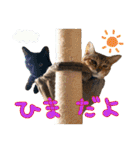 しいこたむつ第3弾（個別スタンプ：9）