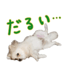 しいこたむつ第3弾（個別スタンプ：10）