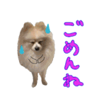 しいこたむつ第3弾（個別スタンプ：11）