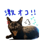 しいこたむつ第3弾（個別スタンプ：15）
