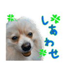 しいこたむつ第3弾（個別スタンプ：17）