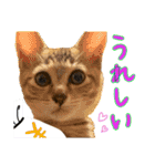 しいこたむつ第3弾（個別スタンプ：19）
