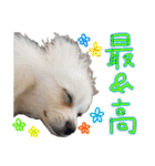 しいこたむつ第3弾（個別スタンプ：22）