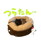 しいこたむつ第3弾（個別スタンプ：26）