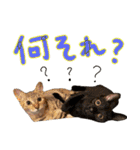 しいこたむつ第3弾（個別スタンプ：27）