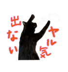 しいこたむつ第3弾（個別スタンプ：28）