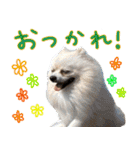 しいこたむつ第3弾（個別スタンプ：29）