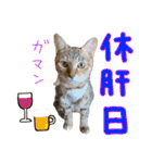 しいこたむつ第3弾（個別スタンプ：30）