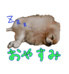 しいこたむつ第3弾（個別スタンプ：32）