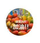 かわいい台湾♡（個別スタンプ：5）