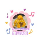 かわいい台湾♡（個別スタンプ：16）
