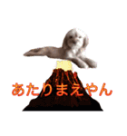 みんなのペット☆★（個別スタンプ：12）