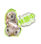 ぷーちゃんず2（個別スタンプ：10）