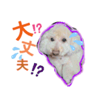 ぷーちゃんず2（個別スタンプ：18）