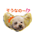 ぷーちゃんず2（個別スタンプ：27）