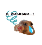 どらやきの愉快な日々2（個別スタンプ：4）