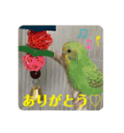 ゆきちゃん宅スタンプ18（個別スタンプ：1）