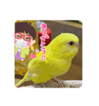 ゆきちゃん宅スタンプ18（個別スタンプ：7）