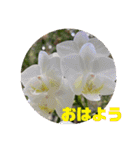 ゆきちゃん宅スタンプ18（個別スタンプ：9）
