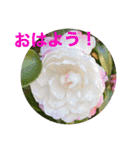ゆきちゃん宅スタンプ18（個別スタンプ：11）