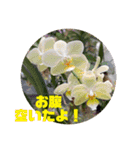 ゆきちゃん宅スタンプ18（個別スタンプ：17）