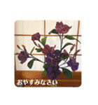 ゆきちゃん宅スタンプ18（個別スタンプ：24）