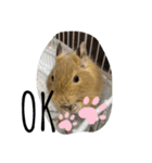 天ちゃんその1（個別スタンプ：1）