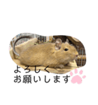 天ちゃんその1（個別スタンプ：2）
