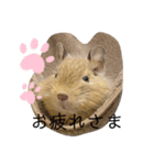 天ちゃんその1（個別スタンプ：3）