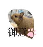 天ちゃんその1（個別スタンプ：9）