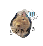 天ちゃんその1（個別スタンプ：19）