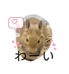 天ちゃんその1（個別スタンプ：24）