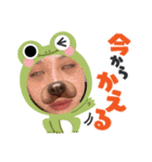 みつきすたんぷ！（個別スタンプ：2）