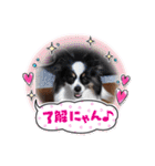 ぷりん＆さくら（個別スタンプ：13）