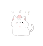 #白い動物たちの日常_*（個別スタンプ：4）