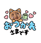 たぃがじゅじゅ（個別スタンプ：2）