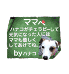 愛犬♡ハナコのスタンプ17（個別スタンプ：33）