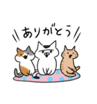 生活という名の猫（個別スタンプ：17）