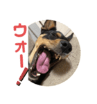4つ目のラッキーちゃん 3（個別スタンプ：1）