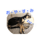 4つ目のラッキーちゃん 3（個別スタンプ：3）
