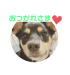 4つ目のラッキーちゃん 3（個別スタンプ：7）