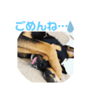 4つ目のラッキーちゃん 3（個別スタンプ：8）